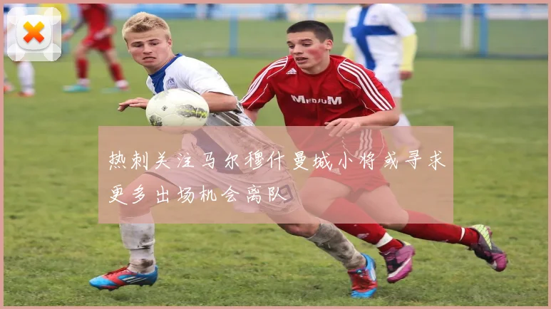 热刺关注马尔穆什曼城小将或寻求更多出场机会离队